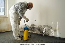 Best Mold Removal for HVAC Installations in Jamestown, ND